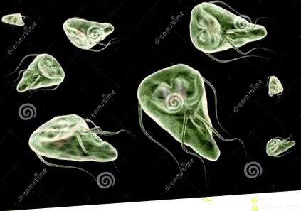 causa giardia