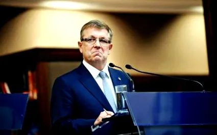 икономичният vajda
