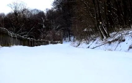 mare arată