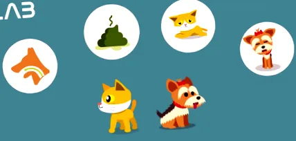 gatos sintomas