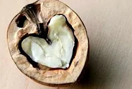Health Guide ръководство