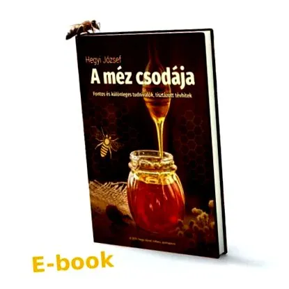 miracolul hegyi