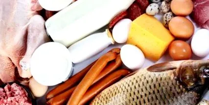 протеинова диета диета