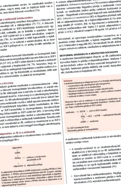рукола модерни