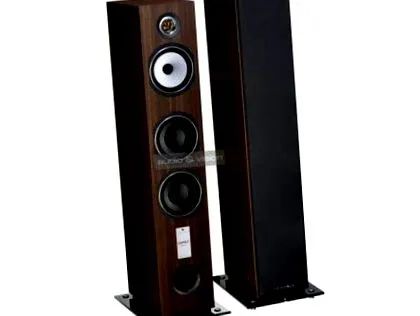 esprit antal