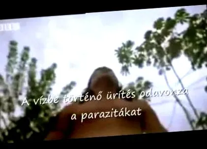 paraziți ficat