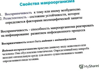 тънките черва