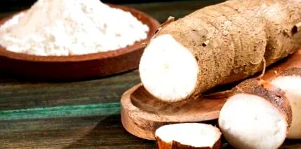 cassava