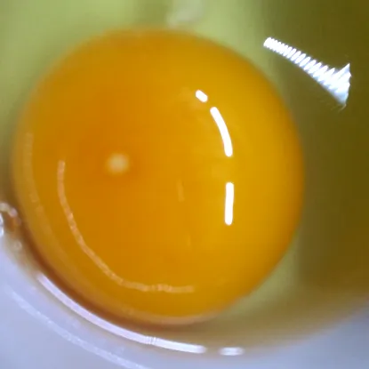 плавлений яйця