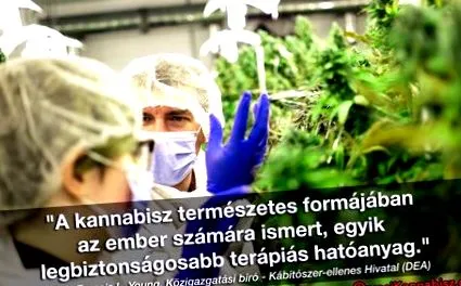 антихелминт хора