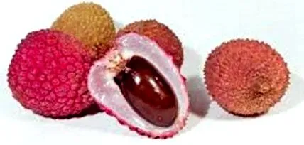 fructe fructe