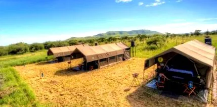 tented kananga