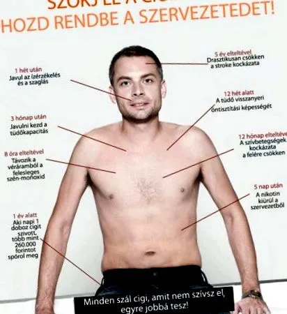 некуріння історії