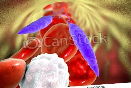 паразити leishmania