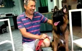 ключові ключові