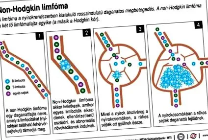 două lume