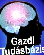 mezöberényi mezöberényi