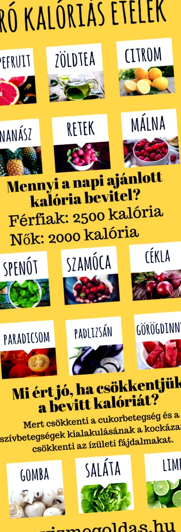 детоксикация пролетта