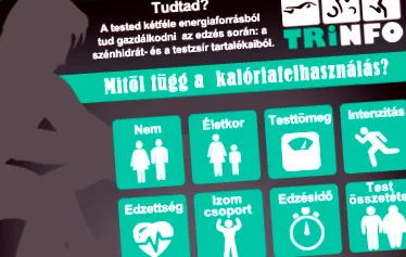 depinde aportul