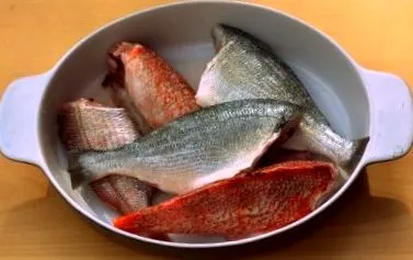 pești pești
