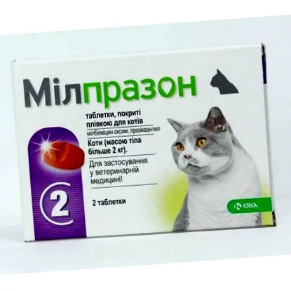 хранят глисти