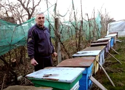 молочко прополіс
