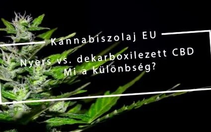 каква Каква разликата