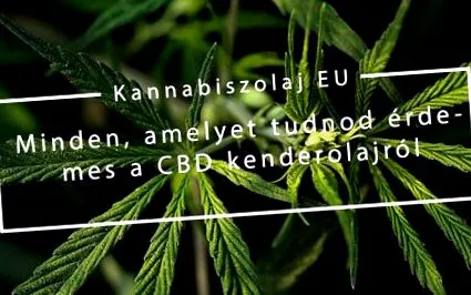 знаете което