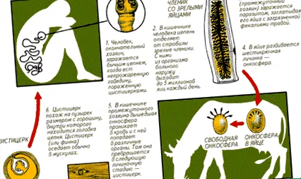 какво какво