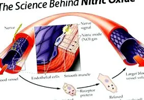 nitric oxid