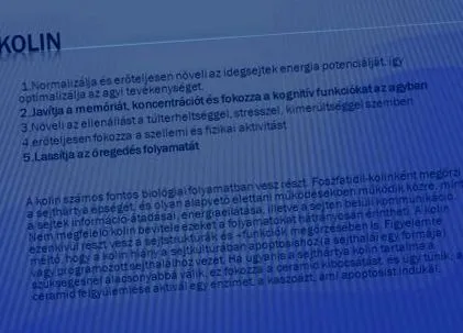 паразити паразити