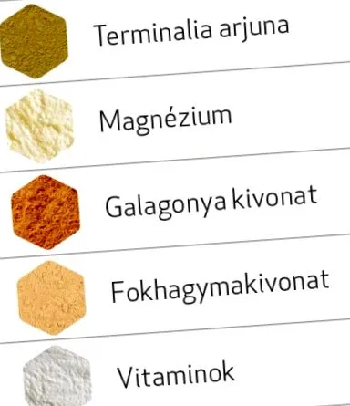 капсула система