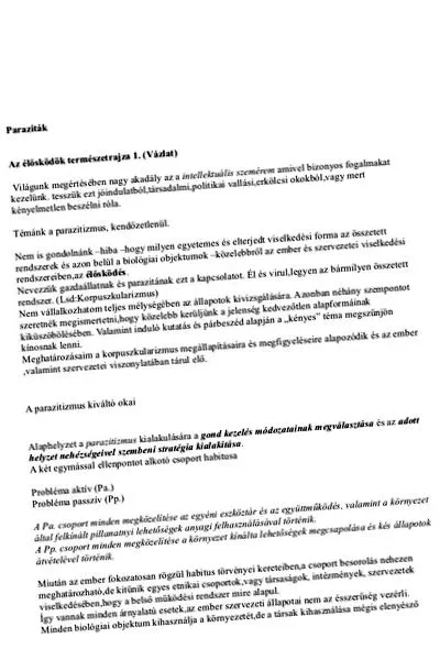 човешкото аналог