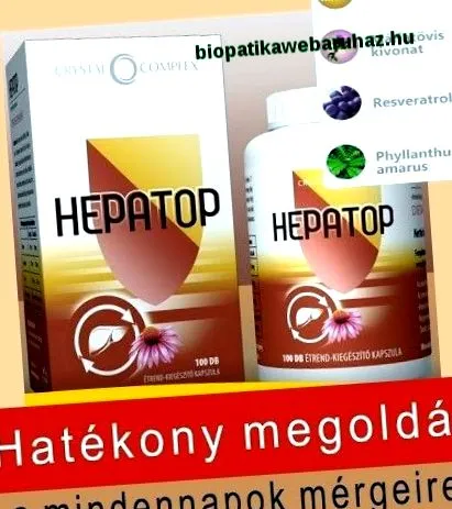 чернодробни холангит