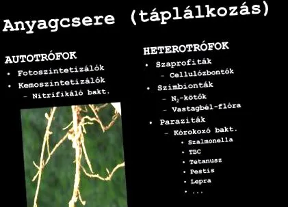 interacțiuni interacțiuni