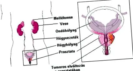 чоловіки
