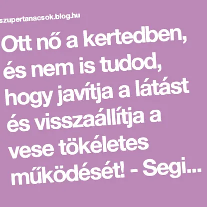 късогледство късогледство