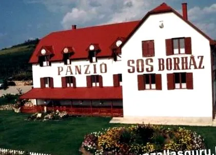 panzió »Безплатен wifi