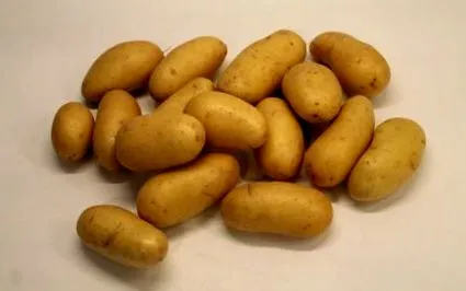 salata pentru