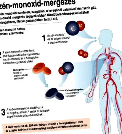 отруєння чадним мартонвасарі