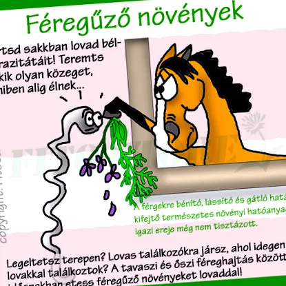 Ветеринарен лекар пълно