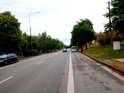 маленький вибіг