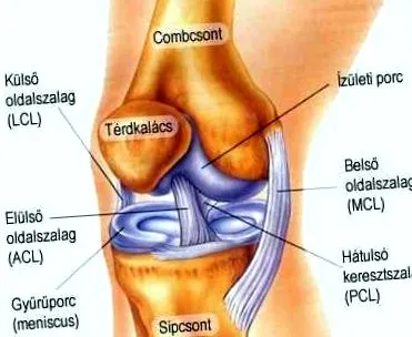 лікування симптоми