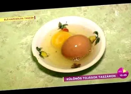 хробаків види