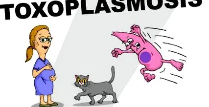 токсоплазми токсоплазми