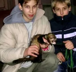 смърди