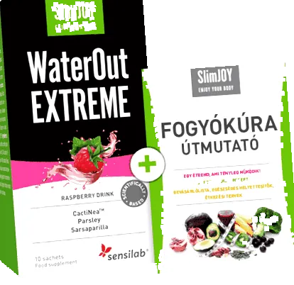 книга електронна