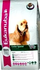 compararea spaniel