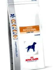 gastro canin