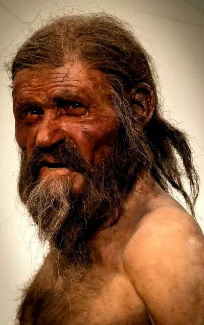 tudtech леден